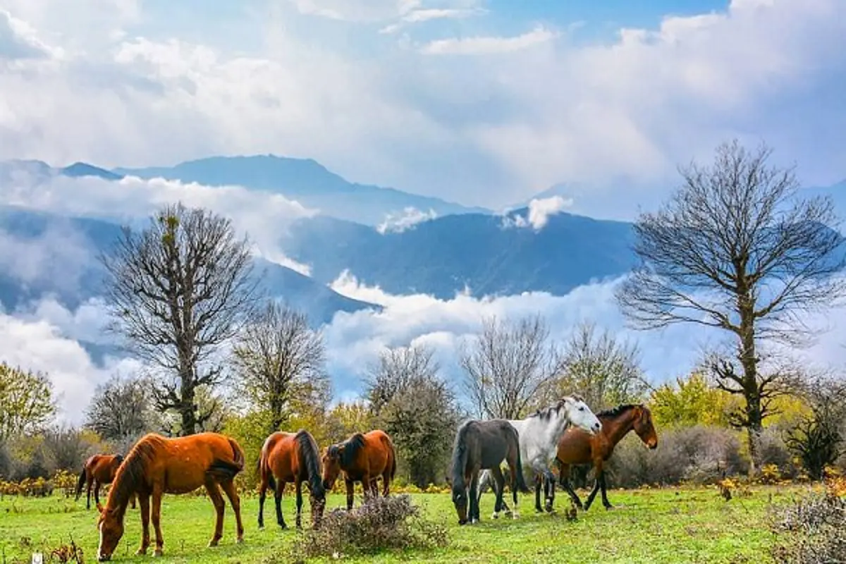 چرا الیمستان یکی از بهترین مقاصد پاییزی ایران شده؟ بررسی کامل مسیر + عکس‌