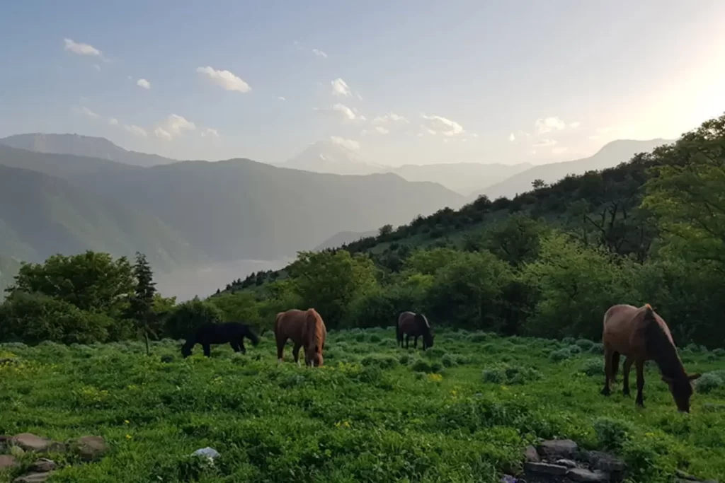 الیمستان